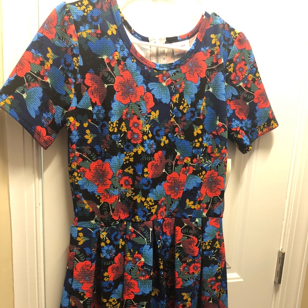 BNWT LuLaRoe Amelia M